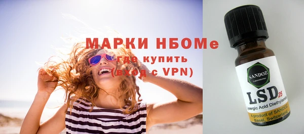 индика Алексин