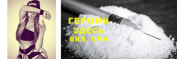 индика Алексин