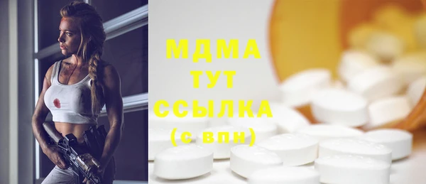индика Алексин