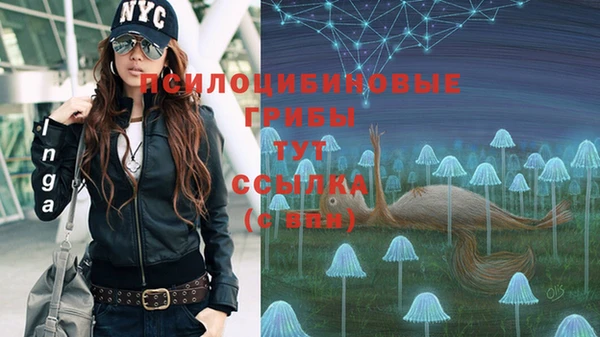 стафф Алзамай