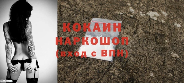 индика Алексин