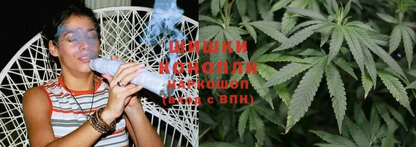 ГАЛЛЮЦИНОГЕННЫЕ ГРИБЫ Абаза