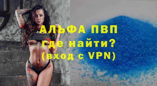индика Алексин