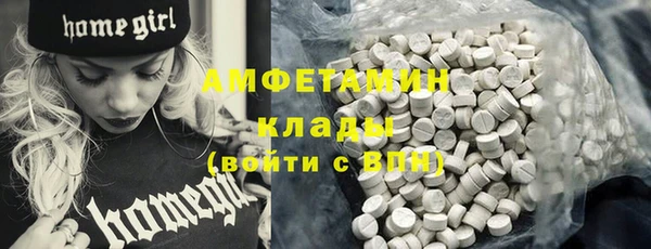 стафф Алзамай
