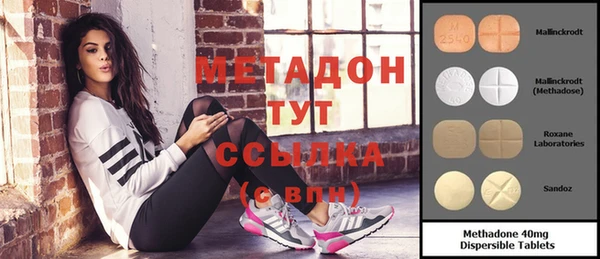 индика Алексин