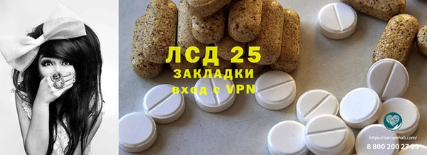 индика Алексин