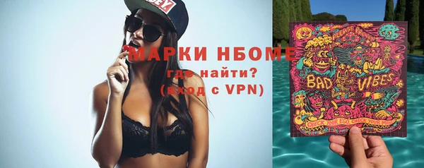 стафф Алзамай