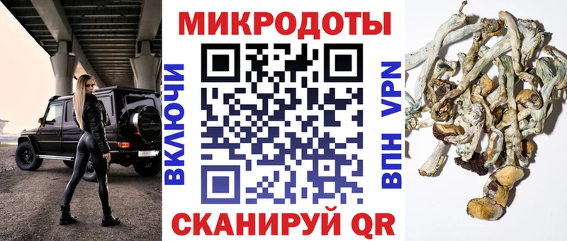 Галлюциногенные грибы мухоморы  даркнет сайт  Богданович 